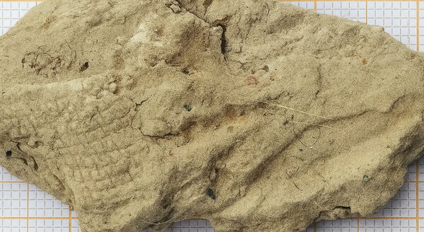 Asbestos analysis of kieselguhr | © CRB Analysis Service GmbH